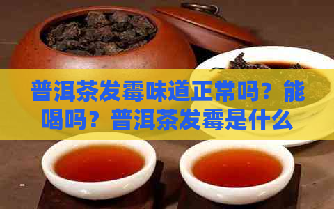 普洱茶发霉味道正常吗？能喝吗？普洱茶发霉是什么味道？