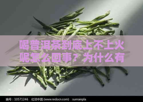 喝普洱茶到底上不上火呢怎么回事？为什么有人喝了会上火，而有人则不会？