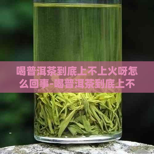 喝普洱茶到底上不上火呀怎么回事-喝普洱茶到底上不上火呀怎么回事呢