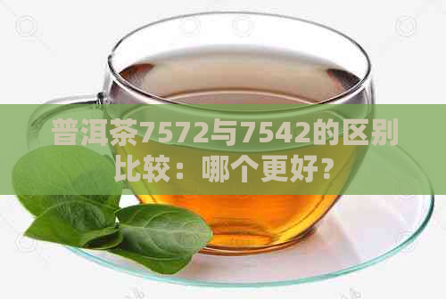 普洱茶7572与7542的区别比较：哪个更好？