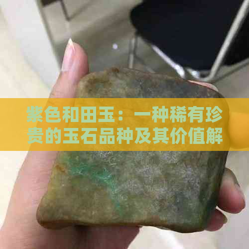 紫色和田玉：一种稀有珍贵的玉石品种及其价值解析