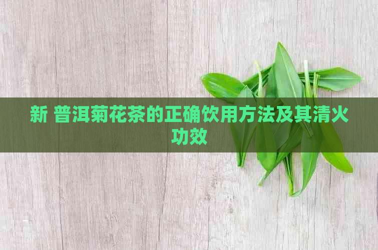 新 普洱菊花茶的正确饮用方法及其清火功效