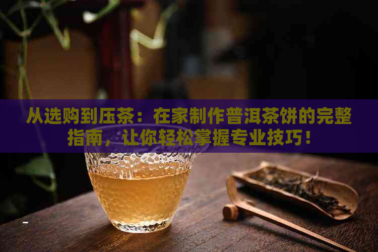 从选购到压茶：在家制作普洱茶饼的完整指南，让你轻松掌握专业技巧！