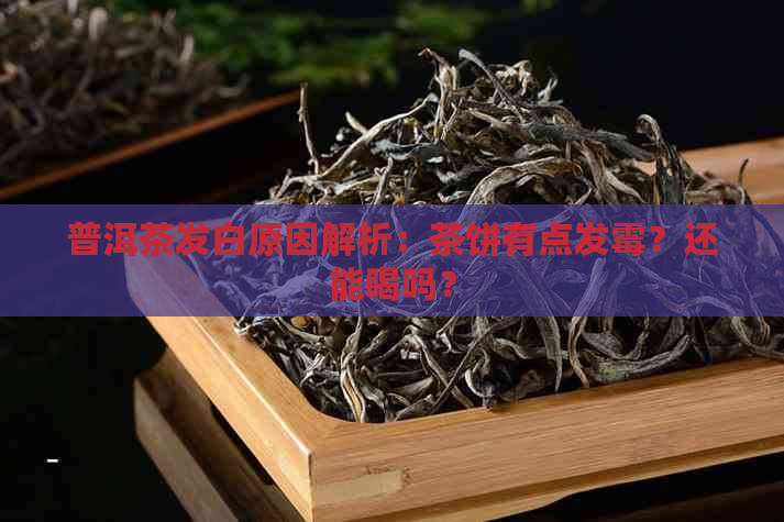 普洱茶发白原因解析：茶饼有点发霉？还能喝吗？