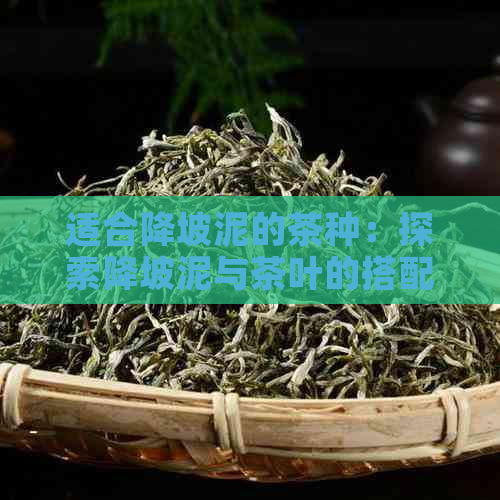 适合降坡泥的茶种：探索降坡泥与茶叶的搭配