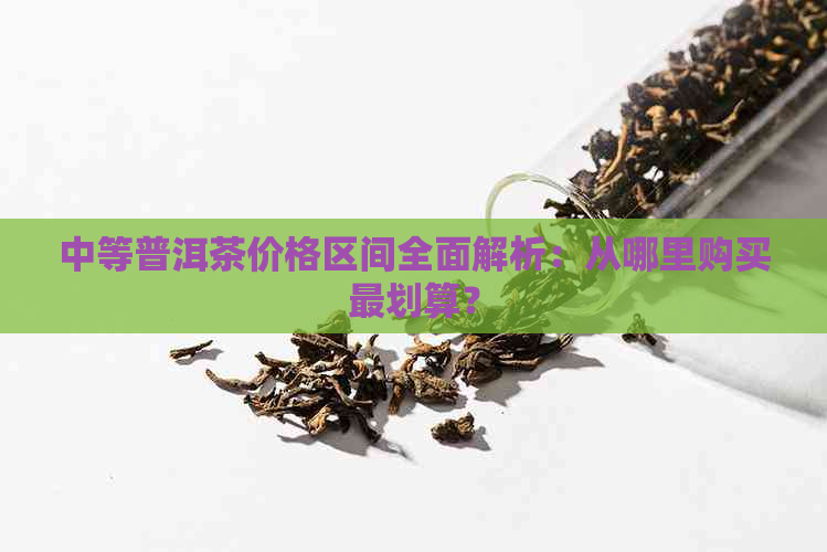 中等普洱茶价格区间全面解析：从哪里购买最划算？