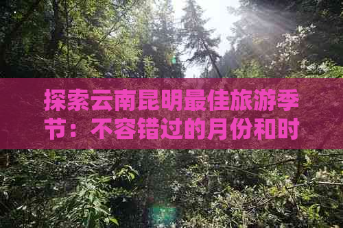 探索云南昆明更佳旅游季节：不容错过的月份和时间