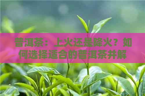 普洱茶：上火还是降火？如何选择适合的普洱茶并解决上火问题？