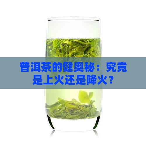 普洱茶的健奥秘：究竟是上火还是降火？