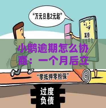 小鹅逾期怎么协商：一个月后立案？贷款后果如何？