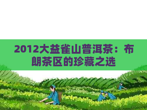 2012大益雀山普洱茶：布朗茶区的珍藏之选