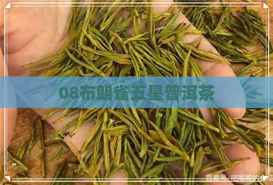 08布朗雀五星普洱茶