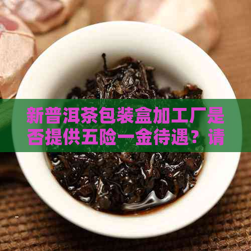 新普洱茶包装盒加工厂是否提供五险一金待遇？请了解详情。