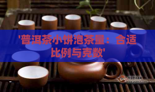 '普洱茶小饼泡茶量：合适比例与克数'