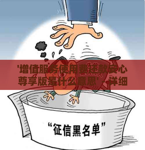 '增值服务使用费还款安心尊享版是什么意思' - 详细介绍及保障优势