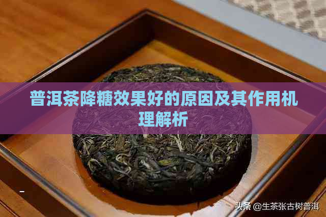 普洱茶降糖效果好的原因及其作用机理解析