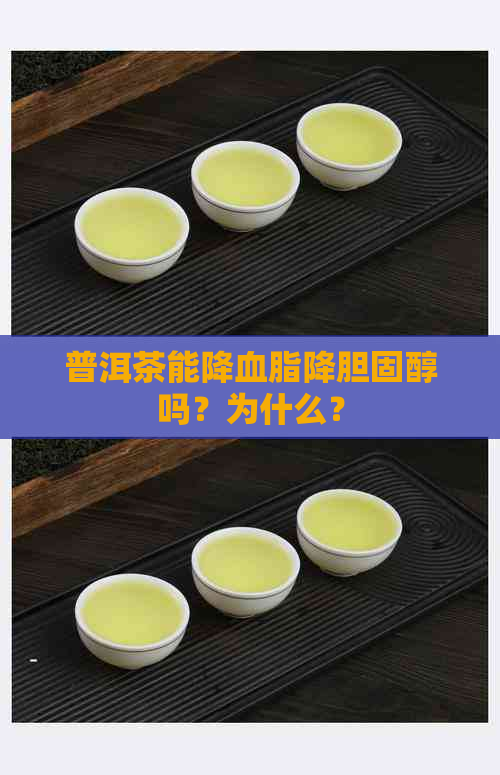 普洱茶能降血脂降胆固醇吗？为什么？