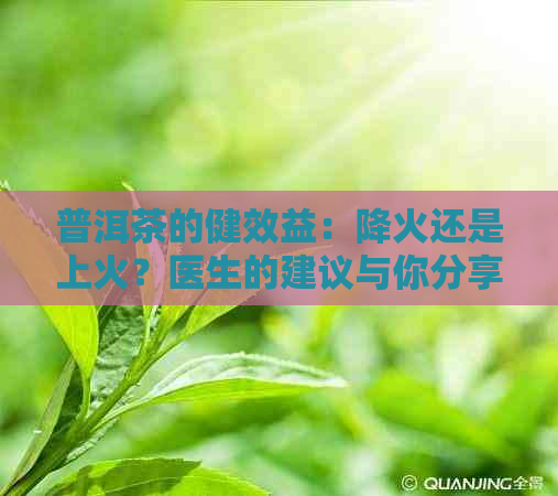 普洱茶的健效益：降火还是上火？医生的建议与你分享