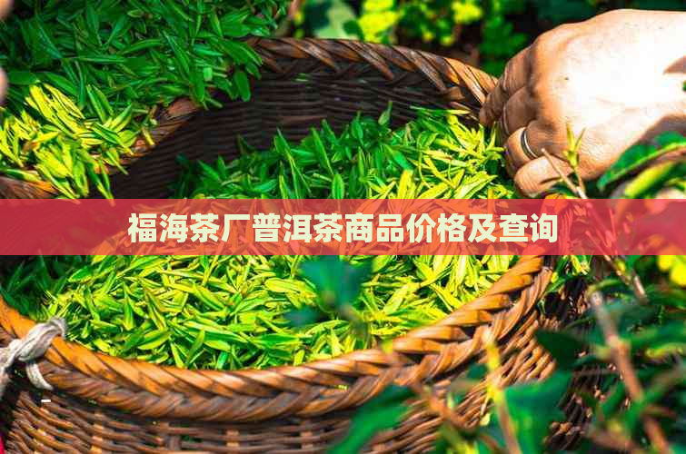 福海茶厂普洱茶商品价格及查询