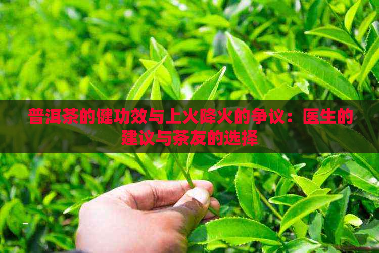 普洱茶的健功效与上火降火的争议：医生的建议与茶友的选择