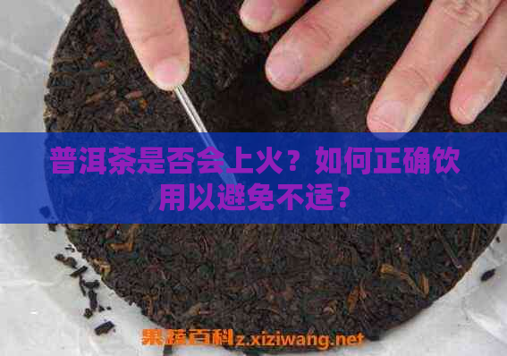 普洱茶是否会上火？如何正确饮用以避免不适？