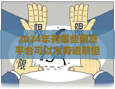 2024年有哪些网贷平台可以为有逾期但仍需借款的人提供贷款？