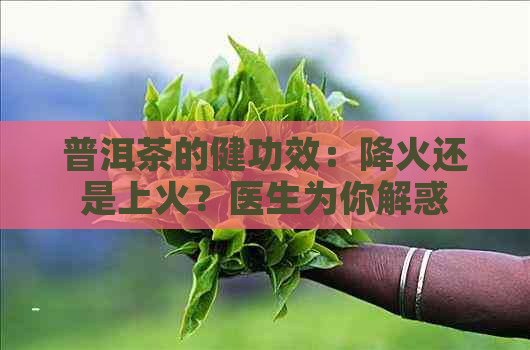 普洱茶的健功效：降火还是上火？医生为你解惑