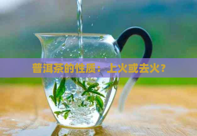 普洱茶的性质：上火或去火？