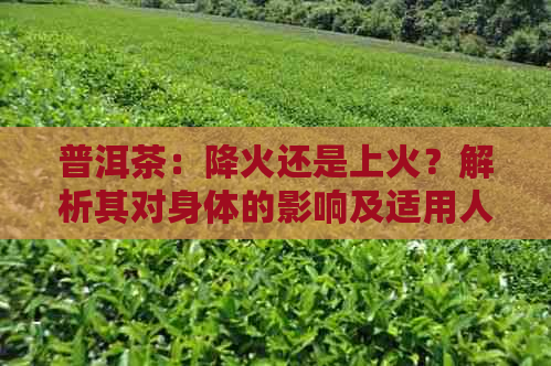 普洱茶：降火还是上火？解析其对身体的影响及适用人群