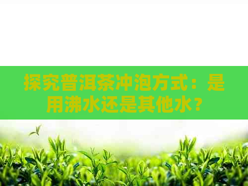 探究普洱茶冲泡方式：是用沸水还是其他水？