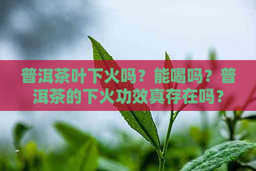 普洱茶叶下火吗？能喝吗？普洱茶的下火功效真存在吗？