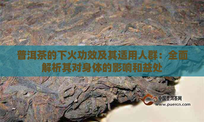 普洱茶的下火功效及其适用人群：全面解析其对身体的影响和益处