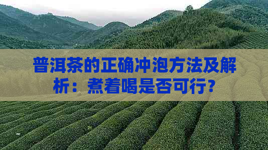 普洱茶的正确冲泡方法及解析：煮着喝是否可行？