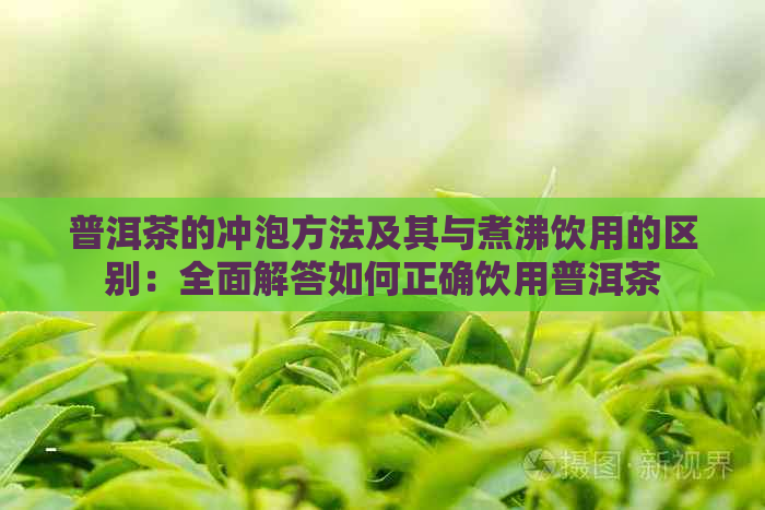 普洱茶的冲泡方法及其与煮沸饮用的区别：全面解答如何正确饮用普洱茶