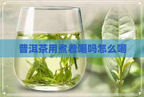 普洱茶用煮着喝吗怎么喝