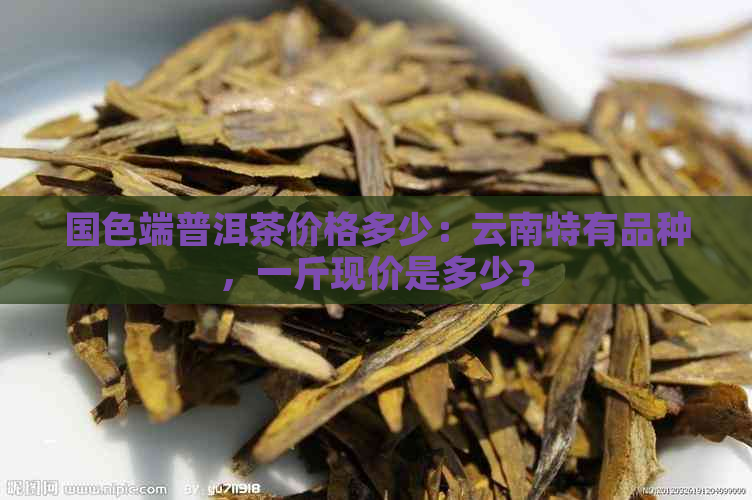 国色端普洱茶价格多少：云南特有品种，一斤现价是多少？