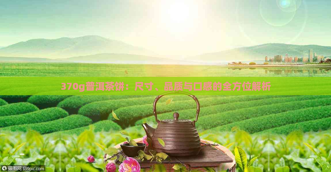 370g普洱茶饼：尺寸、品质与口感的全方位解析