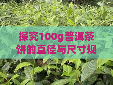 探究100g普洱茶饼的直径与尺寸规格：一场视觉宴