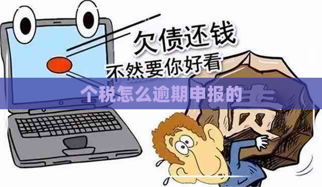 个税怎么逾期申报的