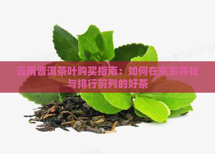 云南普洱茶叶购买指南：如何在京东寻找与排行前列的好茶