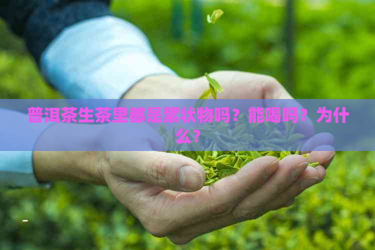 普洱茶生茶里都是絮状物吗？能喝吗？为什么？