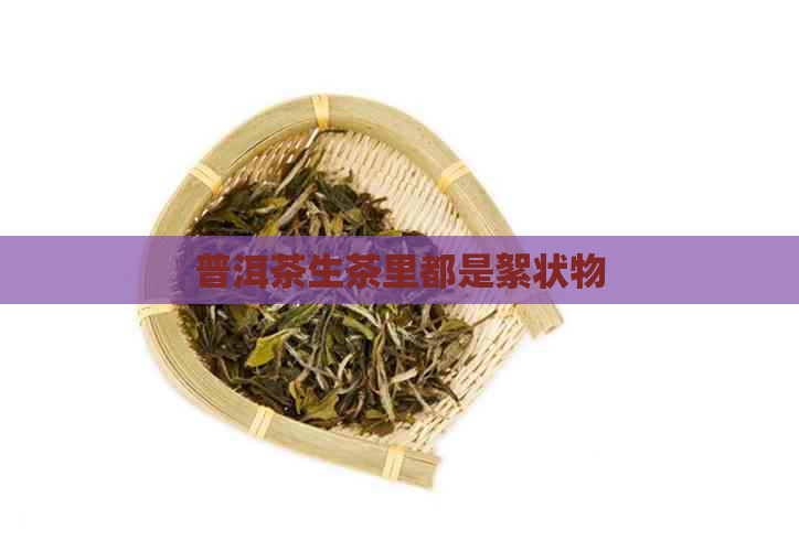 普洱茶生茶里都是絮状物