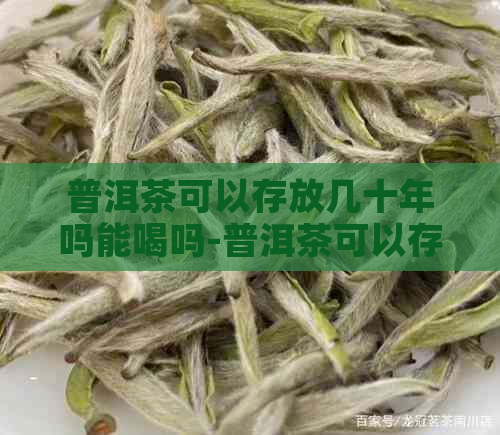 普洱茶可以存放几十年吗能喝吗-普洱茶可以存放几十年吗能喝吗有吗