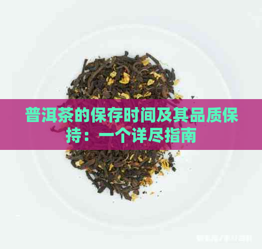 普洱茶的保存时间及其品质保持：一个详尽指南