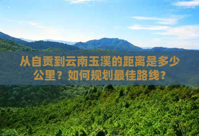 从自贡到云南玉溪的距离是多少公里？如何规划更佳路线？