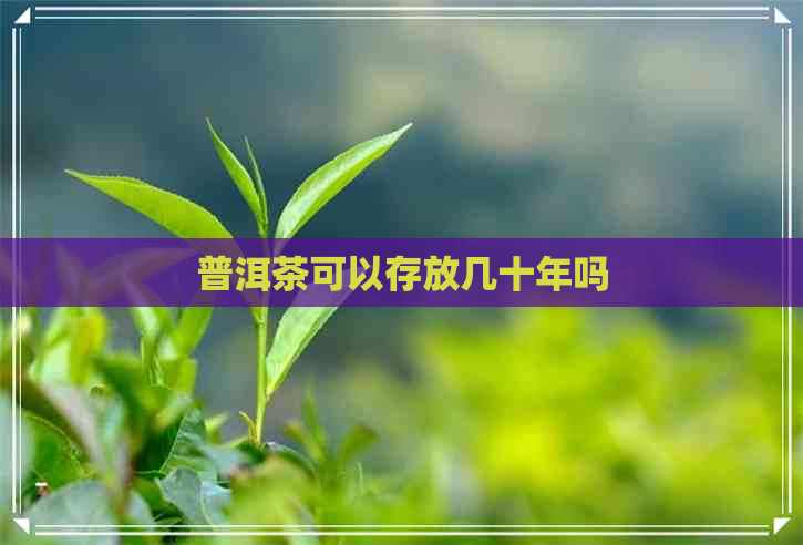 普洱茶可以存放几十年吗