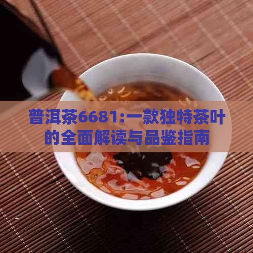 普洱茶6681:一款独特茶叶的全面解读与品鉴指南