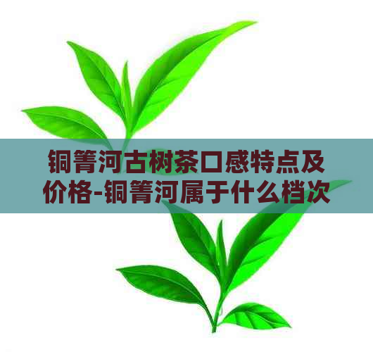 铜箐河古树茶口感特点及价格-铜箐河属于什么档次