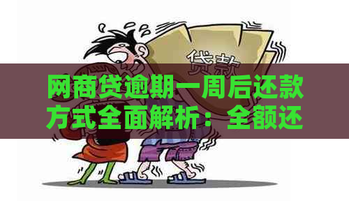 网商贷逾期一周后还款方式全面解析：全额还款是否必须？如何避免逾期？