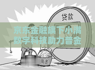 京东金融旗下小满数字科技助力普金融发展